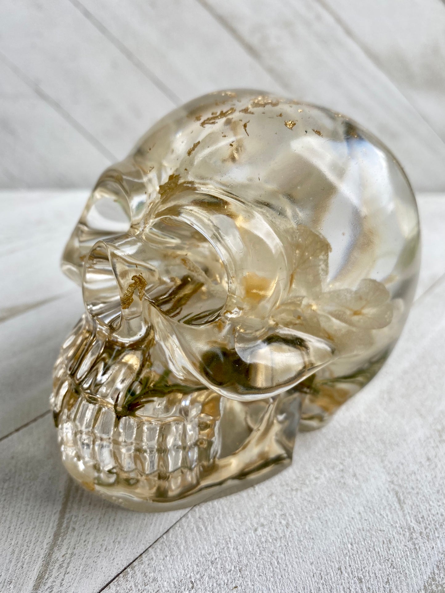 Witches Apothecary Skull