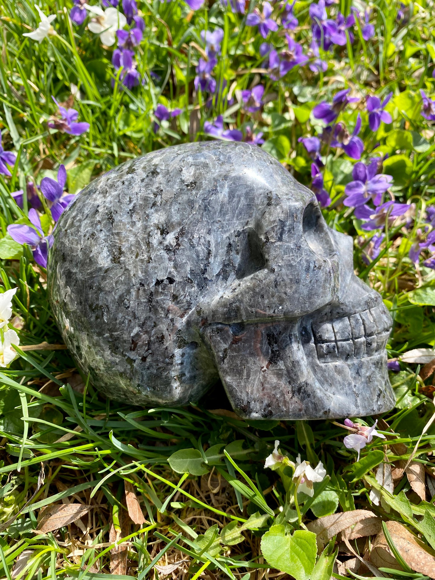 XL Larvikite Skull