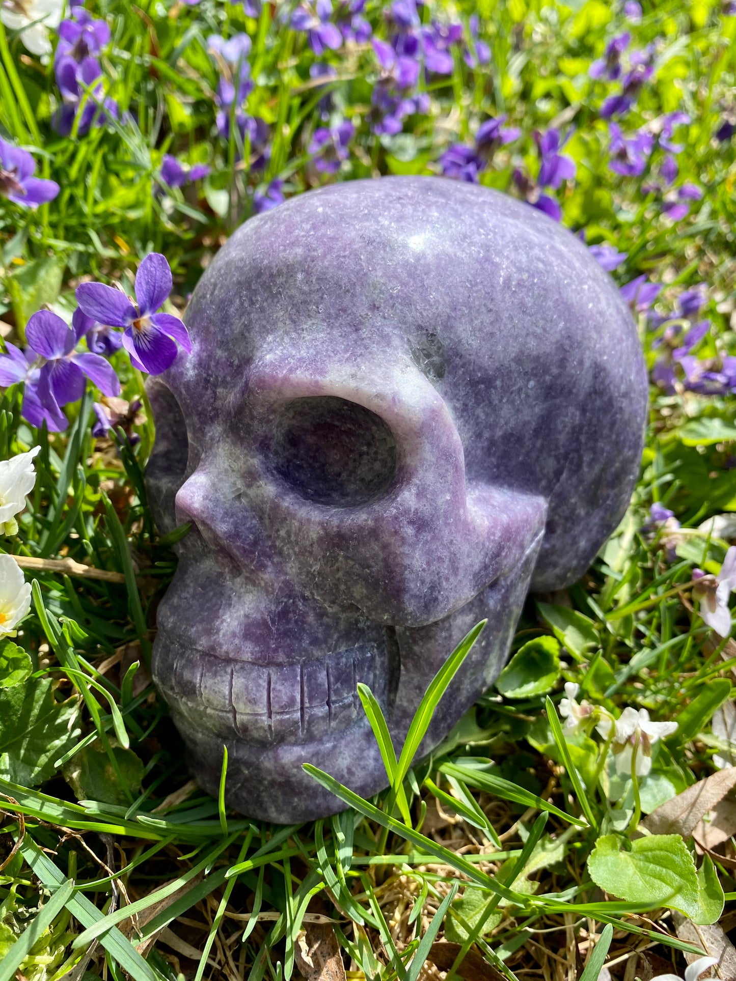 XL Lepidolite Skull