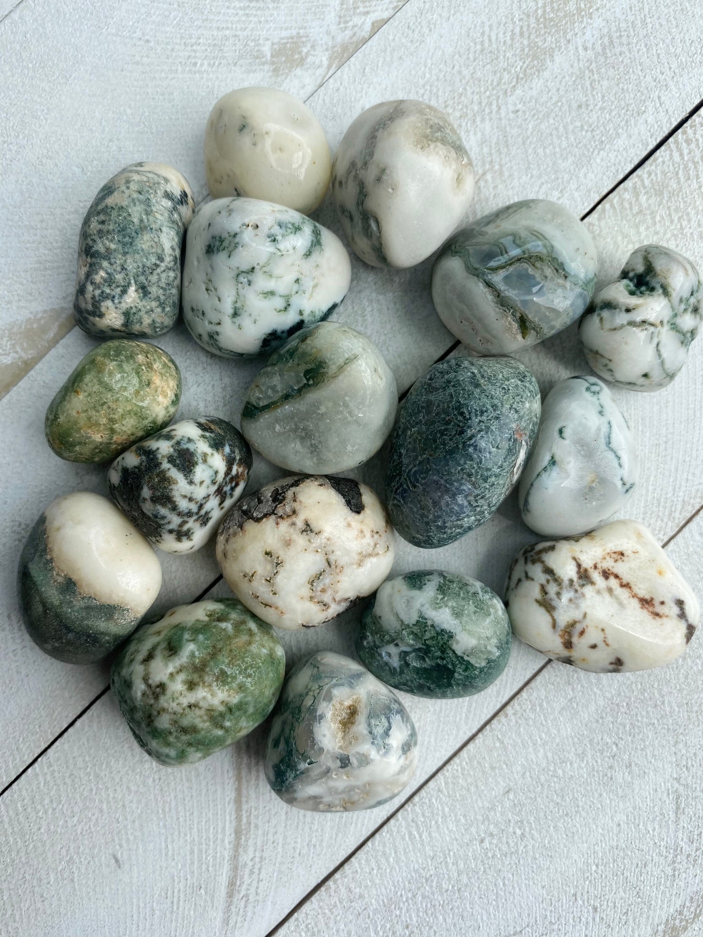 Tree Agate Tumbles