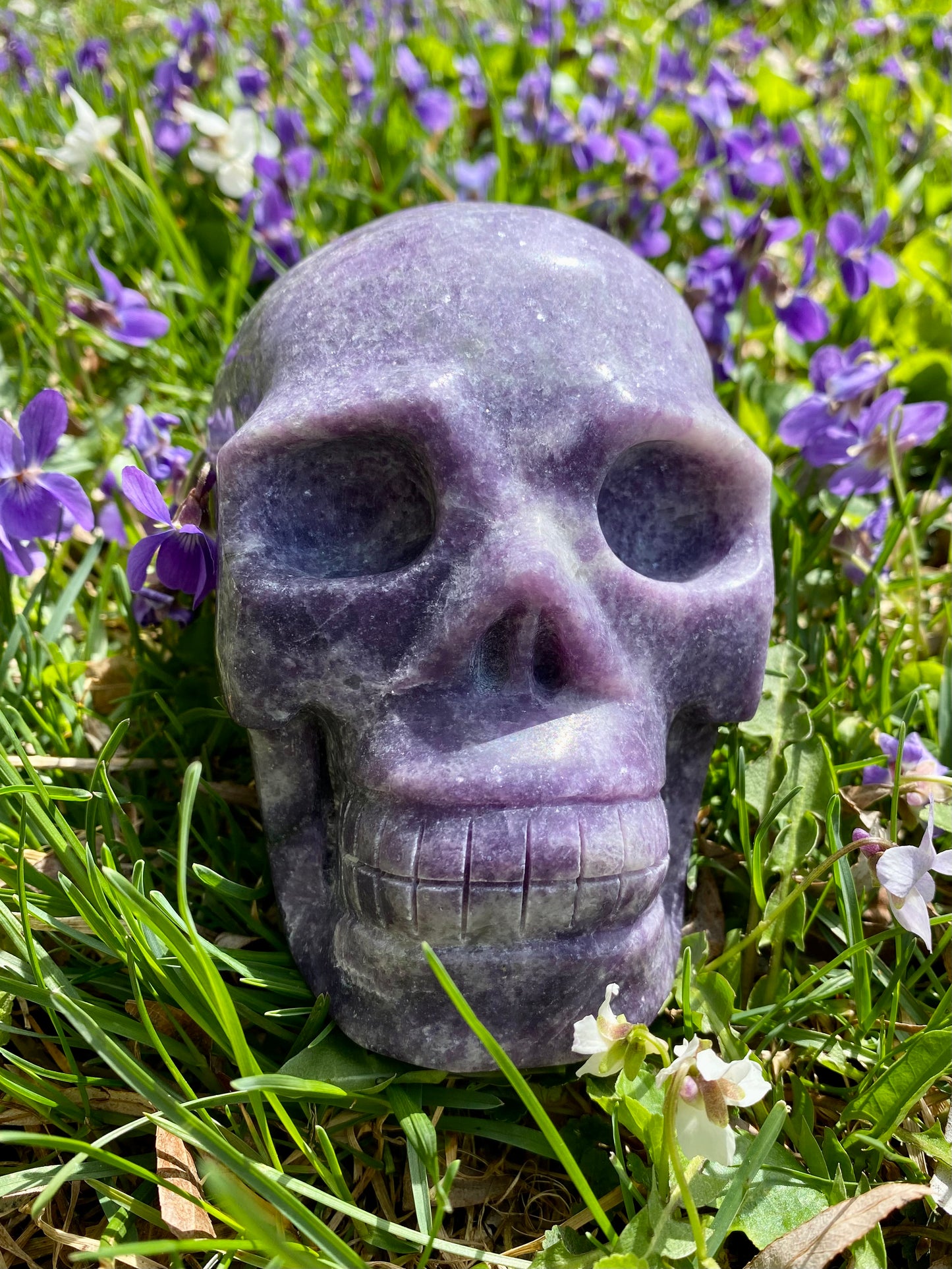 XL Lepidolite Skull