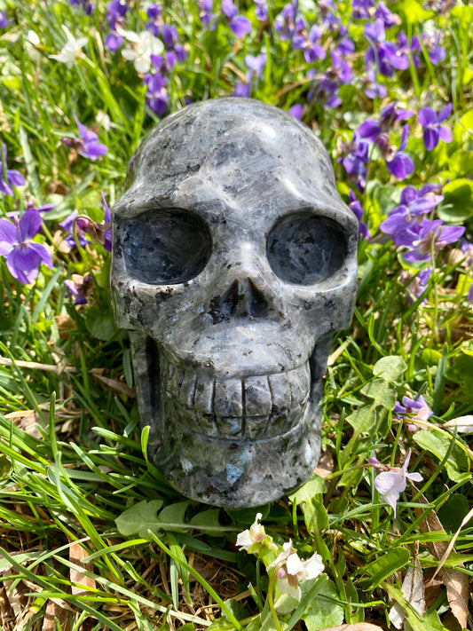 XL Larvikite Skull