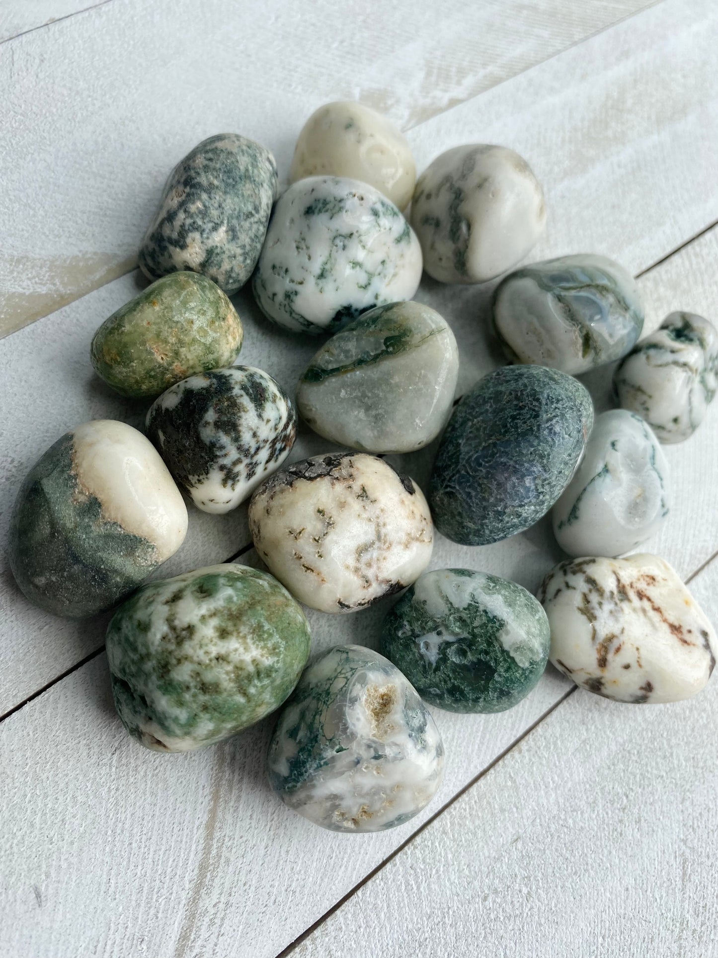 Tree Agate Tumbles