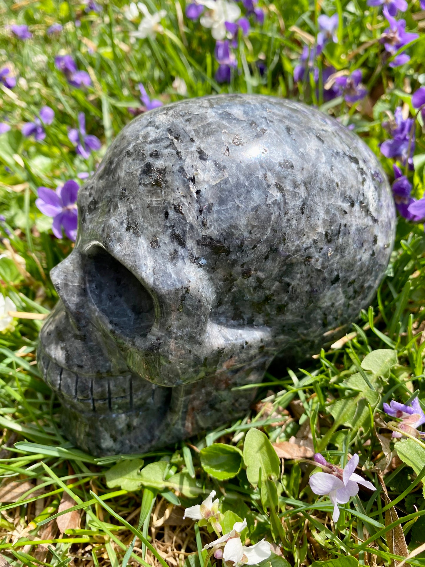 XL Larvikite Skull