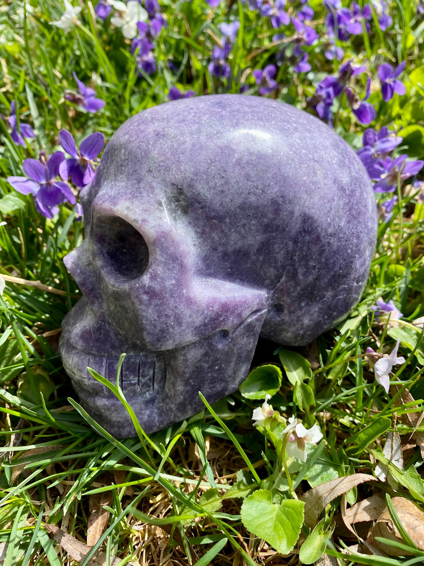 XL Lepidolite Skull