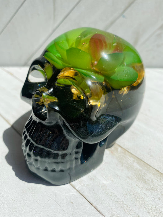 Succulent Skull