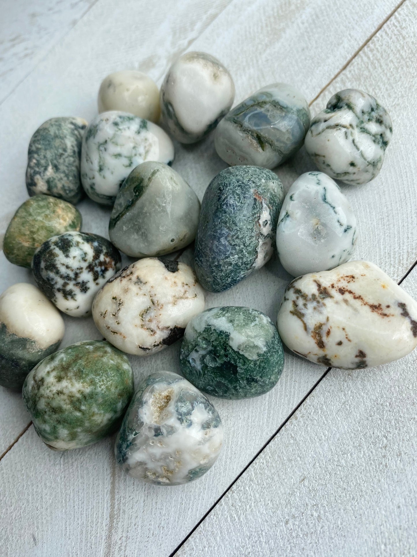 Tree Agate Tumbles