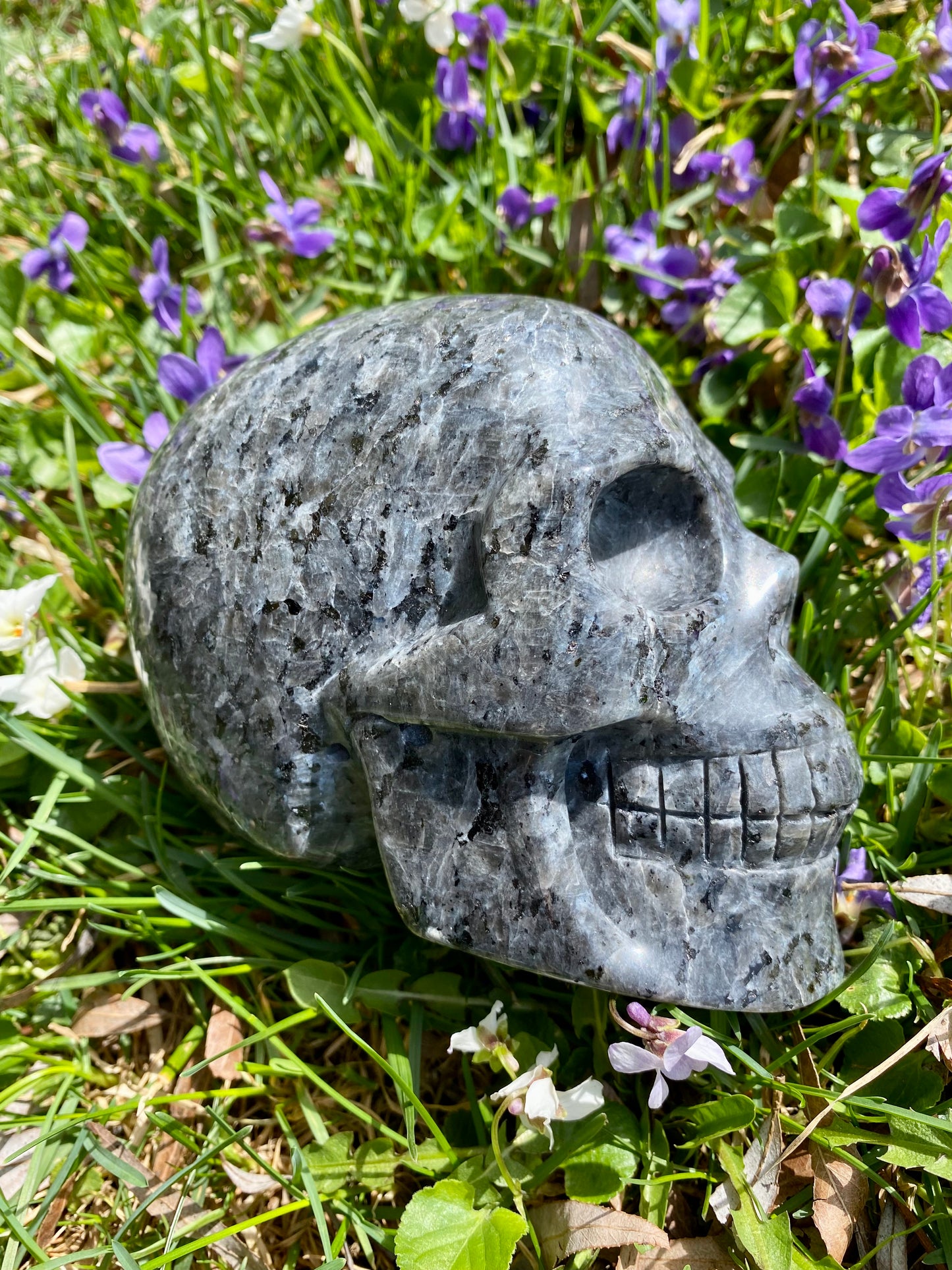 XL Larvikite Skull