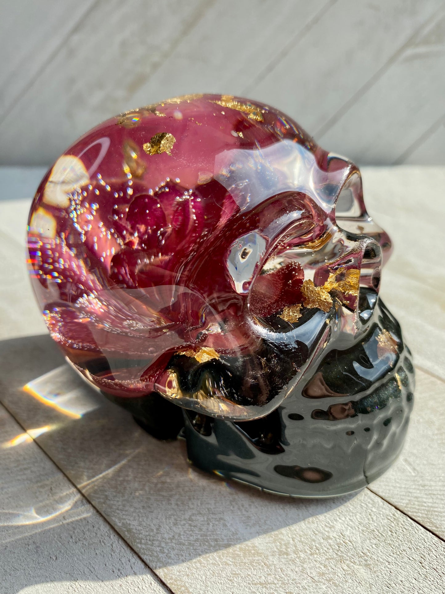 Succulent Black Base Skull